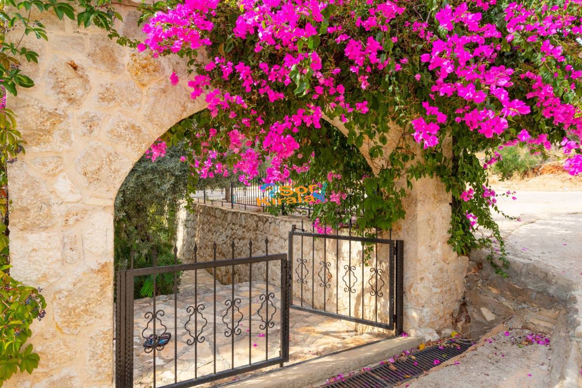 2+1 ANTİPHELLOS Kalkan Merkez(401)